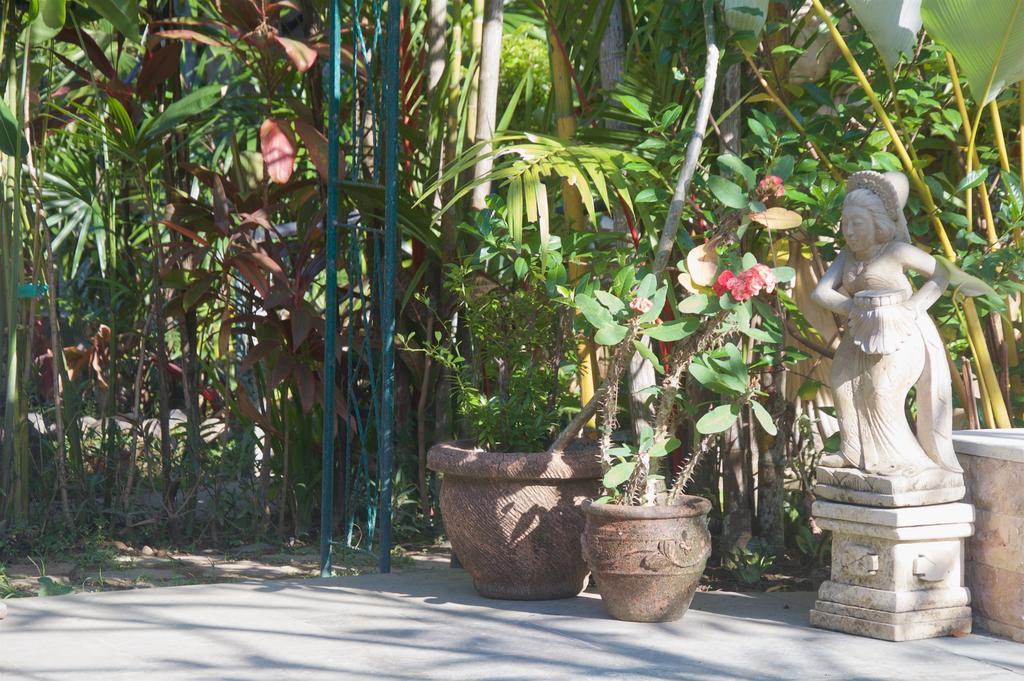 Taman Rahasia Tropical Sanctuary And Spa Ubud Eksteriør billede